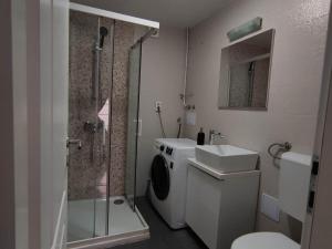 y baño con ducha, aseo y lavamanos. en Apartment Roki en Zagreb