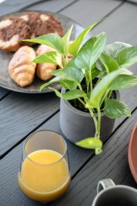 Φωτογραφία από το άλμπουμ του Nuovo Luxury Suites στο Δαράτσο