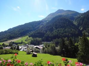 ザンクト・アントン・アム・アールベルクにあるLandhaus Strolzの山の前の村を持つ緑の谷