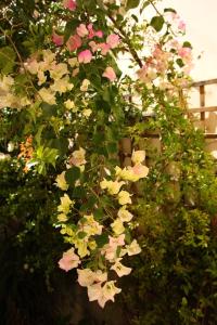 Gallery image of MARIA SUITE in Myrtos +24 photos