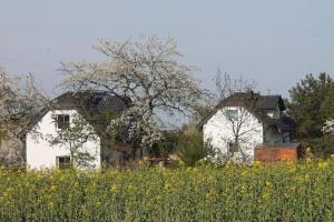 Φωτογραφία από το άλμπουμ του Domek w Białej - Mak σε Marcinowice +4 φωτογραφίες