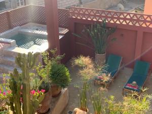 Zahrada ubytování Riad Le Limoun and Spa