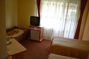 Gallery image of Pension Coral in Baia Mare