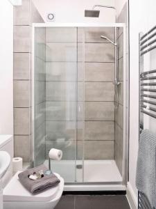 a bathroom with a shower and a toilet and a sink at Penarth/Cardiff Bay: Deluxe Flat: 10 Mins to City! in Cardiff