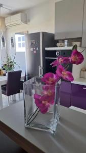 Kuchyň nebo kuchyňský kout v ubytování Apartment Natasha