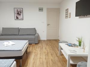 Televízia a/alebo spoločenská miestnosť v ubytovaní Grafit Apartmanok