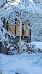 ein Blockhaus mit Schnee auf den Ästen eines Baumes in der Unterkunft Marko'S Apartments in Kopaonik