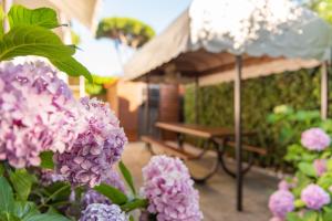 Gallery image of APARTMENT HOLIDAY VERSILIA in Camaiore