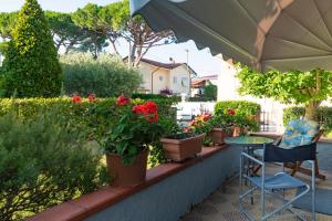 Gallery image of APARTMENT HOLIDAY VERSILIA in Camaiore