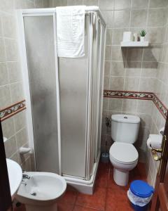 a bathroom with a shower and a toilet and a sink at Apartamentos Isora in Frontera