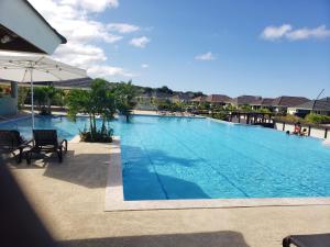 RichmondBreathtaking Villa At The Crest的一个配有椅子和遮阳伞的大型游泳池