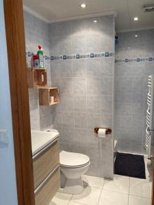 ein Bad mit einem WC und einer Dusche in der Unterkunft Ammerschwihr le cœur du vignoble in Ammerschwihr