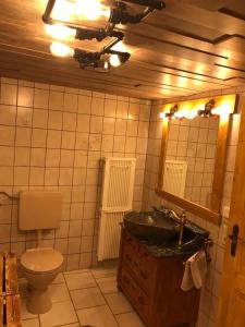 a bathroom with a sink and a toilet and a mirror at Dat ole Diekhus in Neuendorf-Sachsenbande