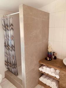 een badkamer met een douche, een toilet en handdoeken bij Casa di Caribe - tropical beach in Willemstad