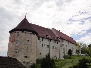 a large building with a red roof on a field at Vivez un conte de fée dans la pièce ronde d'une tour médiévale in Porrentruy +8 photos