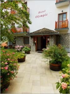 a hotel entrance with potted plants in a courtyard at Hotel Olympic in Metsovo