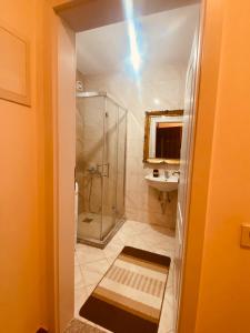 bagno con doccia e lavandino di 1 Bedroom flat a Kosovo Polje