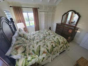 Schlafzimmer mit einem Bett, einer Kommode und einem Spiegel in der Unterkunft Breathtaking Villa At The Crest in Richmond