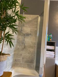 a shower in a bathroom with a plant at Aeronfa in Llanfairfechan