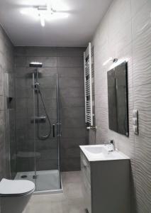 a bathroom with a shower and a toilet and a sink at Nowoczesny apartament na Promenadach Wroclawskich in Wrocław