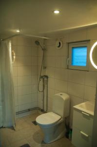 a bathroom with a toilet and a shower and a sink at Strandboende in Beddinge Strand