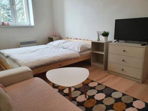 TV tai viihdekeskus majoituspaikassa Apartmány Břachovna