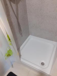 Koupelna v ubytování Studio apartman Miko