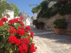 a bunch of red flowers in a street at Tipico Resort in Alberobello