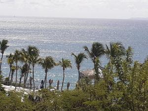 a group of palm trees on a beach with the ocean at Blu Diamante in Le Diamant