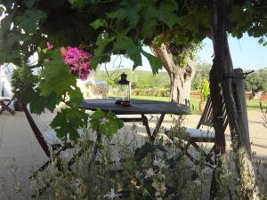 Zahrada ubytování Agroturismo Sa Vinya d'en Palerm