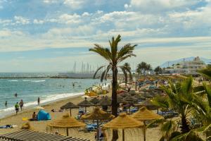 a beach filled with palm trees and palm trees at Pensión Aduar in Marbella