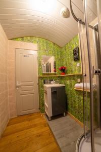 a bathroom with a shower and a sink and a mirror at Étape Gimontoise 32 in Gimont +36 photos