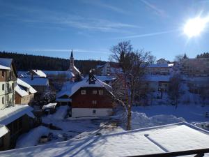 eine Stadt mit Schnee auf den Dächern von Gebäuden in der Unterkunft Apartment 358 mit Sauna, Schwimmbad und Fitness in Schönwald
