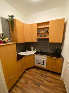 een kleine keuken met houten kasten en een spoelbak bij Gesamte Unterkunft in Zentrumsnähe in Wenen