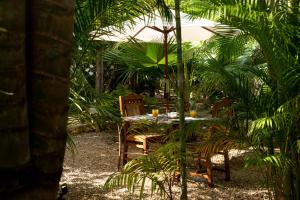 Um jardim em Qambani Luxury Resort