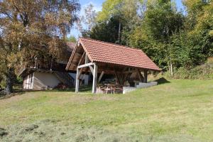 a house with a roof on top of a field at appartement mitoyen dans chalet in Fraize