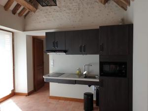 a kitchen with black cabinets and a sink at Le Petit Pavillon in Cheverny