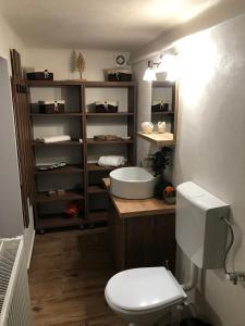 un baño con inodoro y lavabo en Casa Mountain view, en Brasov