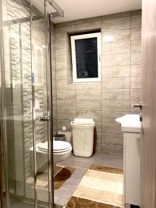 ein Bad mit einem WC und einer Glasdusche in der Unterkunft Perfect Place apartment in Kranj