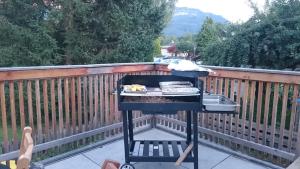 grill na pokładzie z płotem w obiekcie Familien Zeit w mieście Bad Mitterndorf