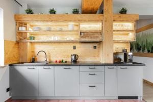 Kuchnia lub aneks kuchenny w obiekcie Apartament Natura Zakopane