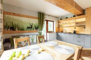 Kuchnia lub aneks kuchenny w obiekcie Apartament Natura Zakopane