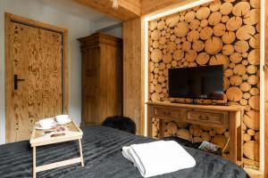 Telewizja i/lub zestaw kina domowego w obiekcie Apartament Natura Zakopane