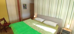 a small bedroom with a green bed with two pillows at Ferienwohnung Albblick in Albstadt