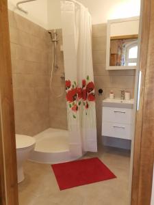 a bathroom with a toilet and a shower with a shower curtain at Czarna Jachta - Na szlaku legend - - - - - Pokoje nad jeziorem in Kruklanki