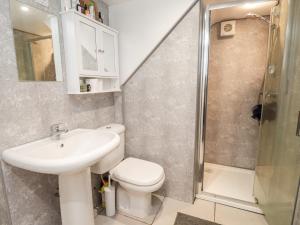 een badkamer met een wastafel, een toilet en een douche bij Egypt Granary in Tonbridge