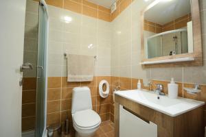 La salle de bains est pourvue de toilettes, d'un lavabo et d'une douche. dans l'établissement Apartman In Lux, à Vrnjačka Banja