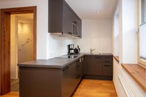 伊施格爾的住宿－Appartement 202，厨房配有灰色橱柜和台面