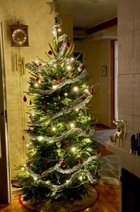 Un árbol de Navidad con luces en una habitación en Cozy house close to Arctic Circle, en Rovaniemi