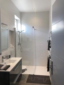 a bathroom with a shower and a sink and a toilet at La maison d’Alice in Aix-les-Bains